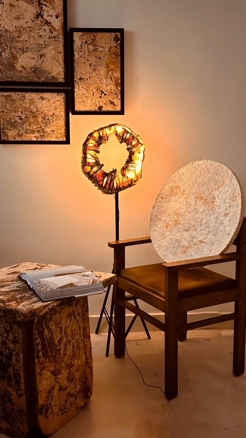 Mycelius biomaterial specimen 4