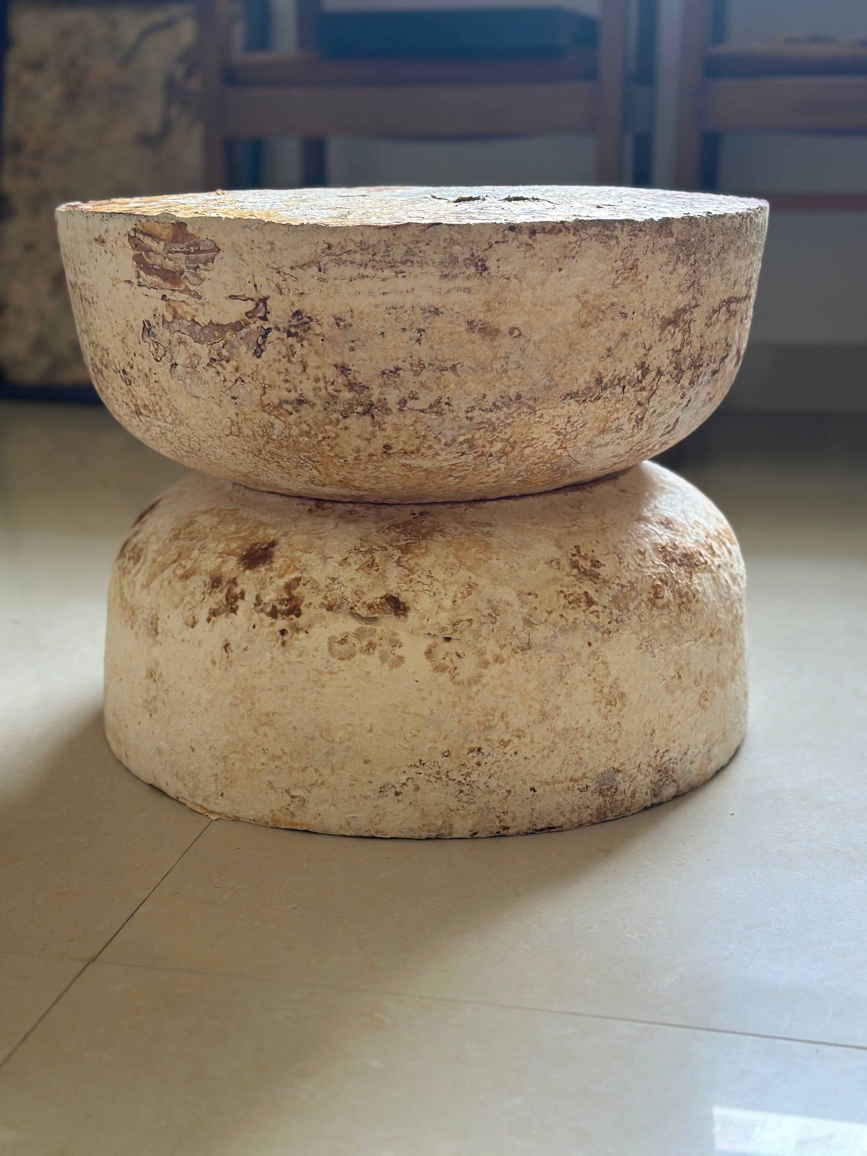 Mycelius biomaterial specimen 7