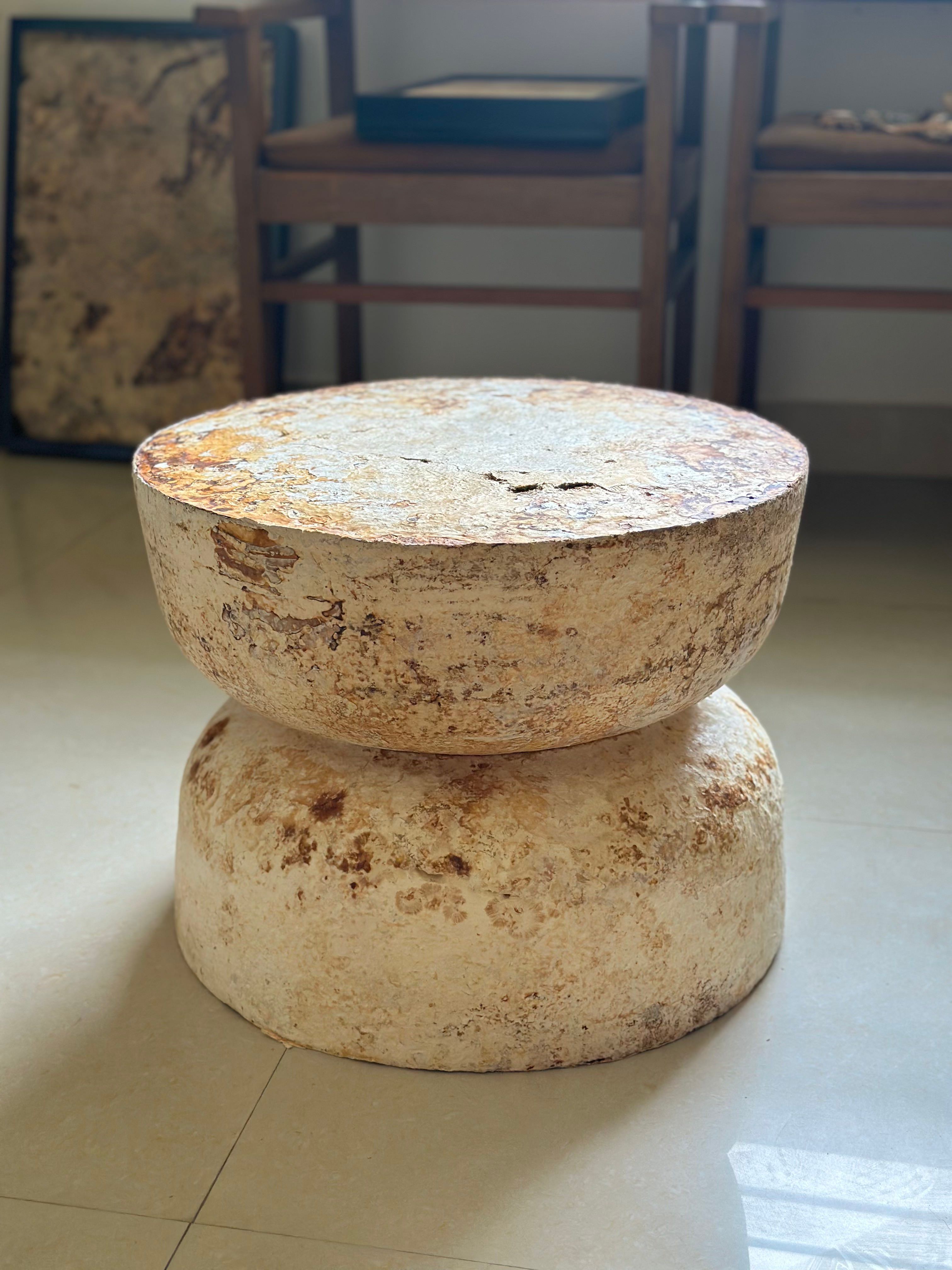 Mycelius biomaterial specimen 1