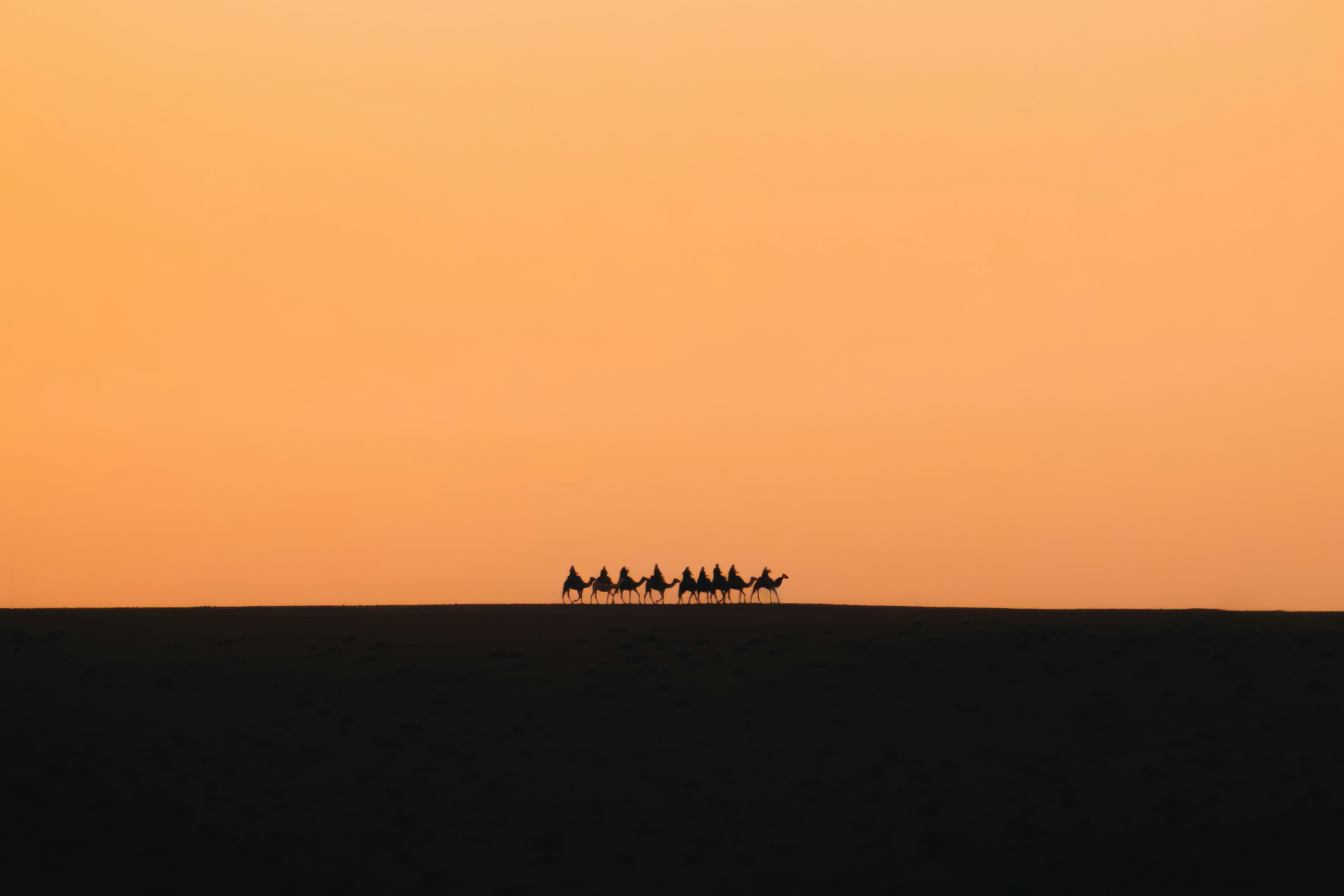 Crux 17: The unlettered (part 2)