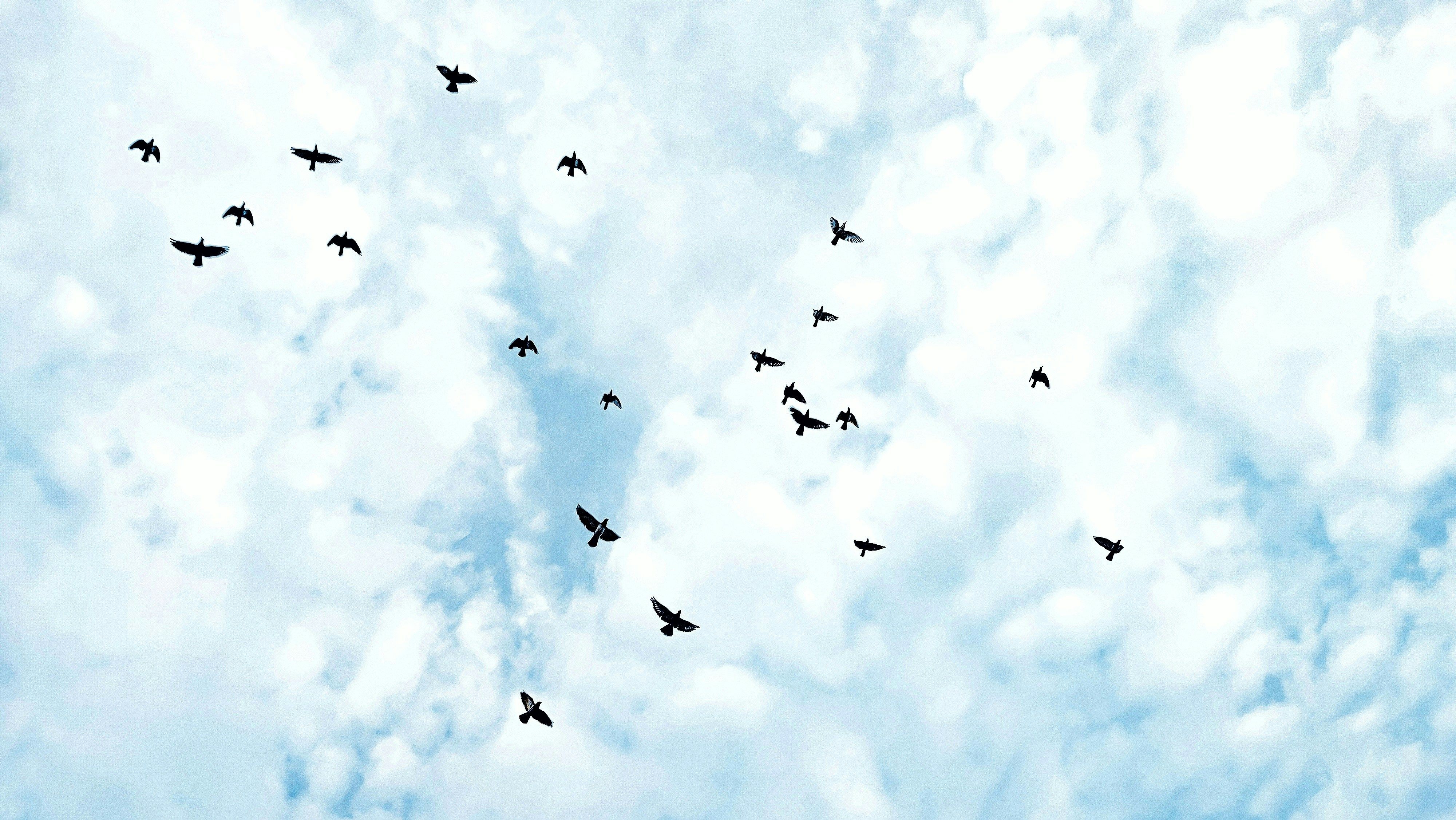 Not an author of confusion.  (crux 15)