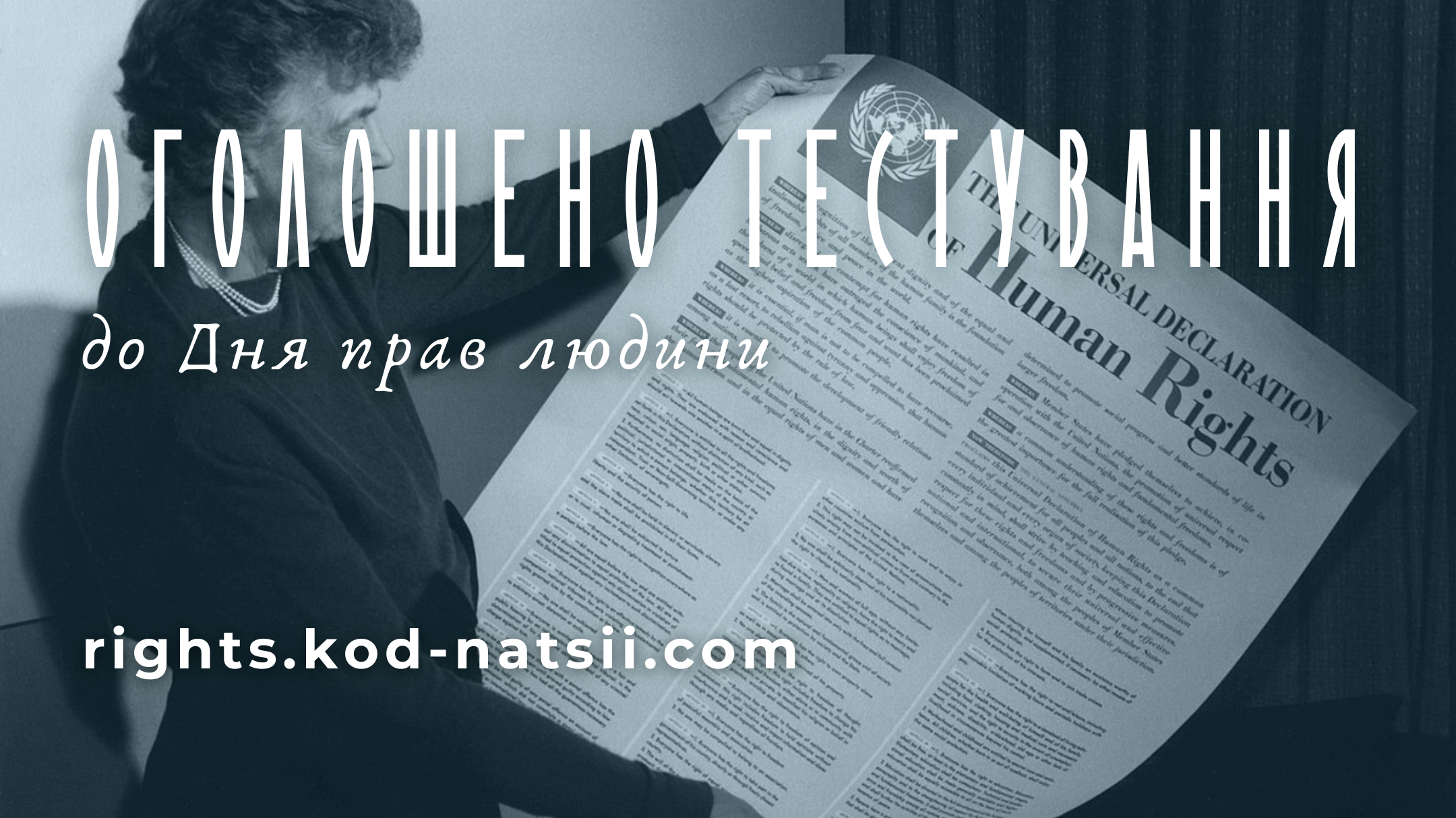 Тестування до Дня прав людини