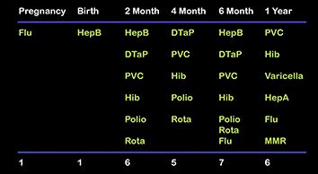 Vaccines & Immunoexcitotoxicity - Dr Russell Blaylock