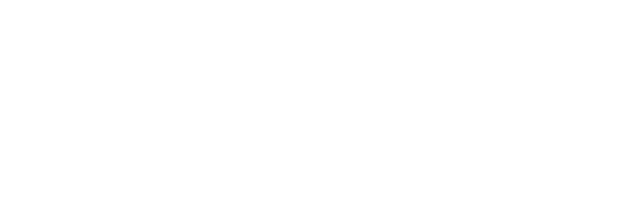 Nizer