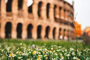 Ostia Antica Day Tour