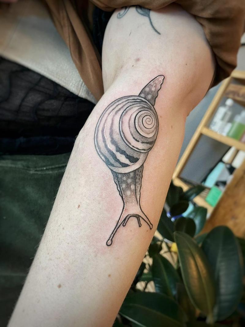 Funny Snail