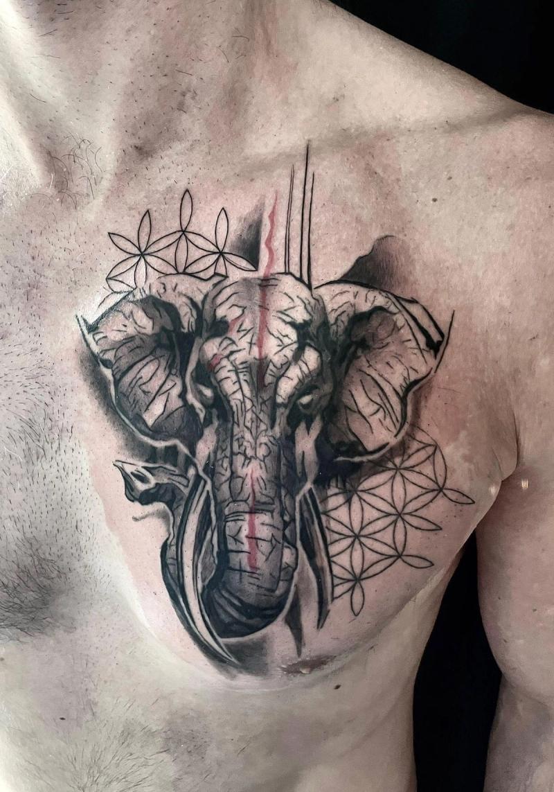 Elefant Warrior