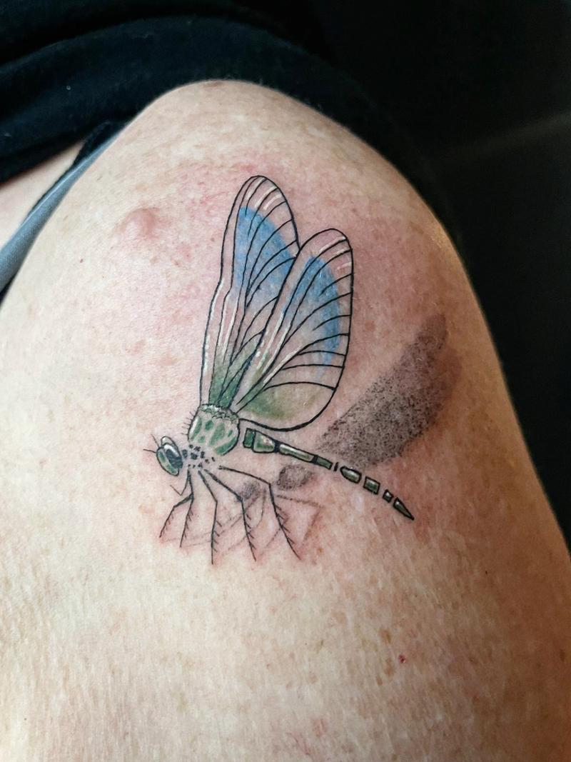 Mini Dragonfly