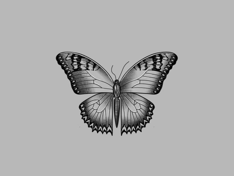Jaala Novelli Tattoo Arbeit 36