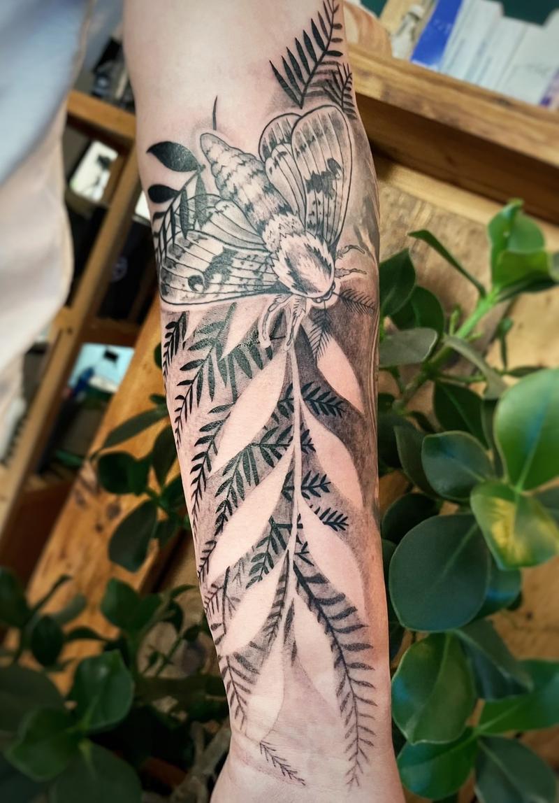 Moth Fern Arm