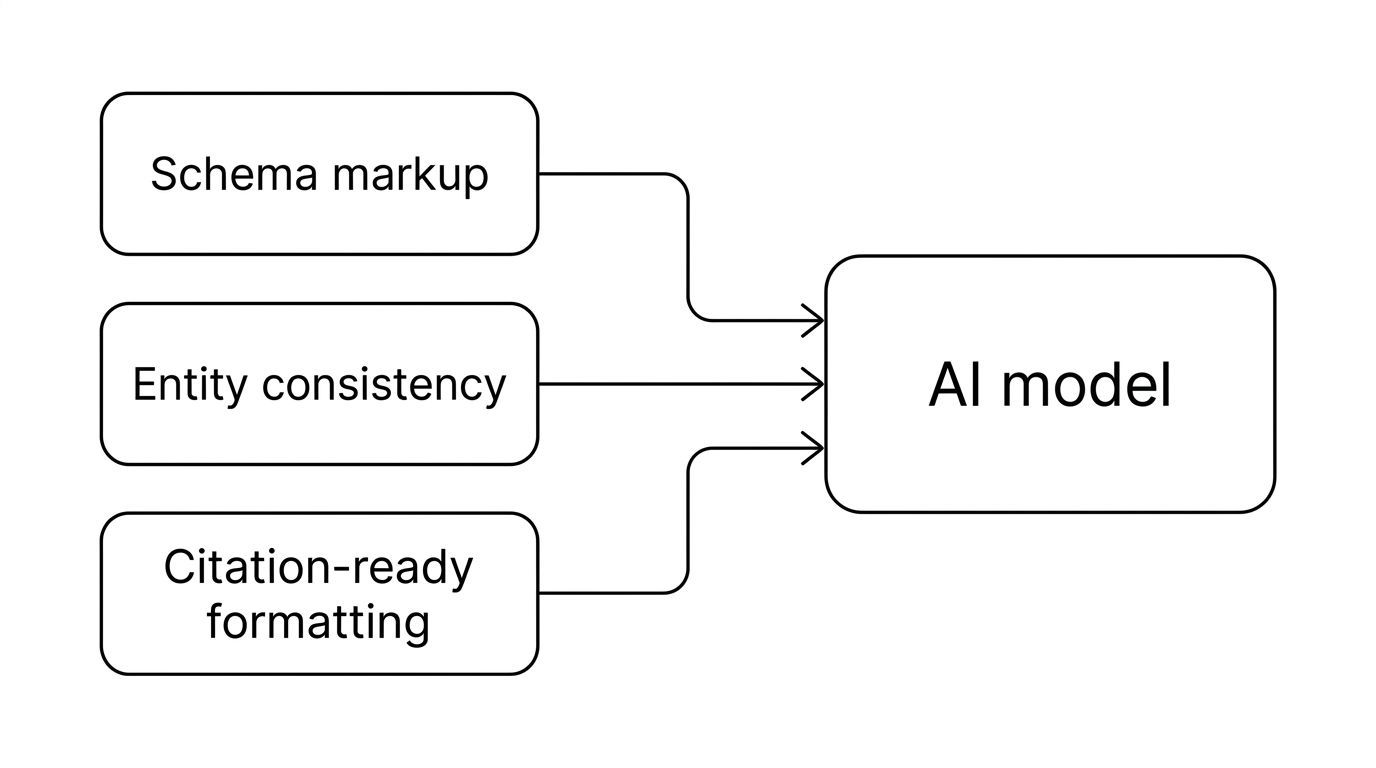 Illustration of structured data signals: schema markup, entity consistency, and citation-ready formatting feeding an AI model