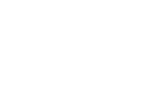 camerican logo