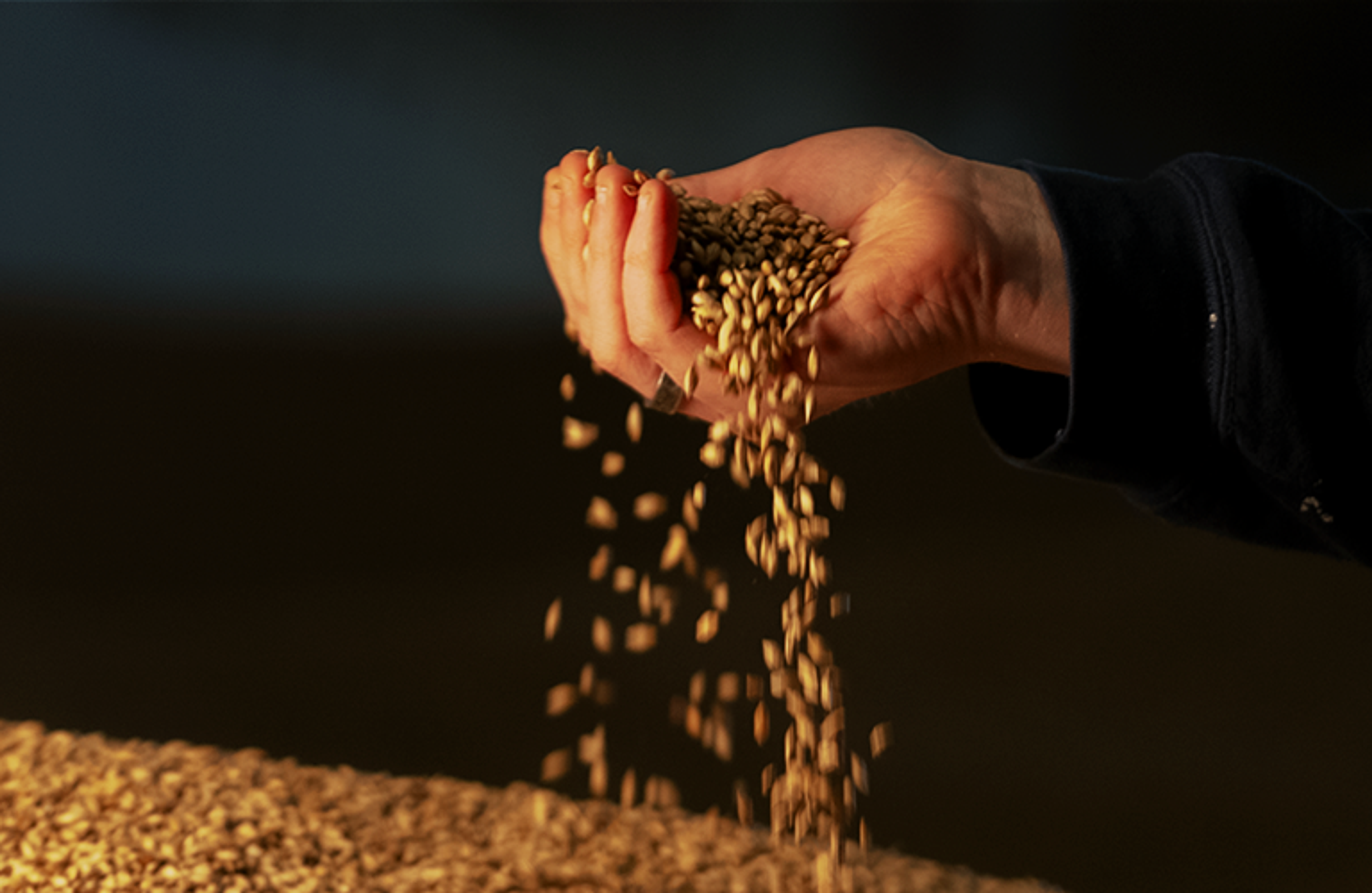 Claiming grain to glass is one thing. Proving it is another.