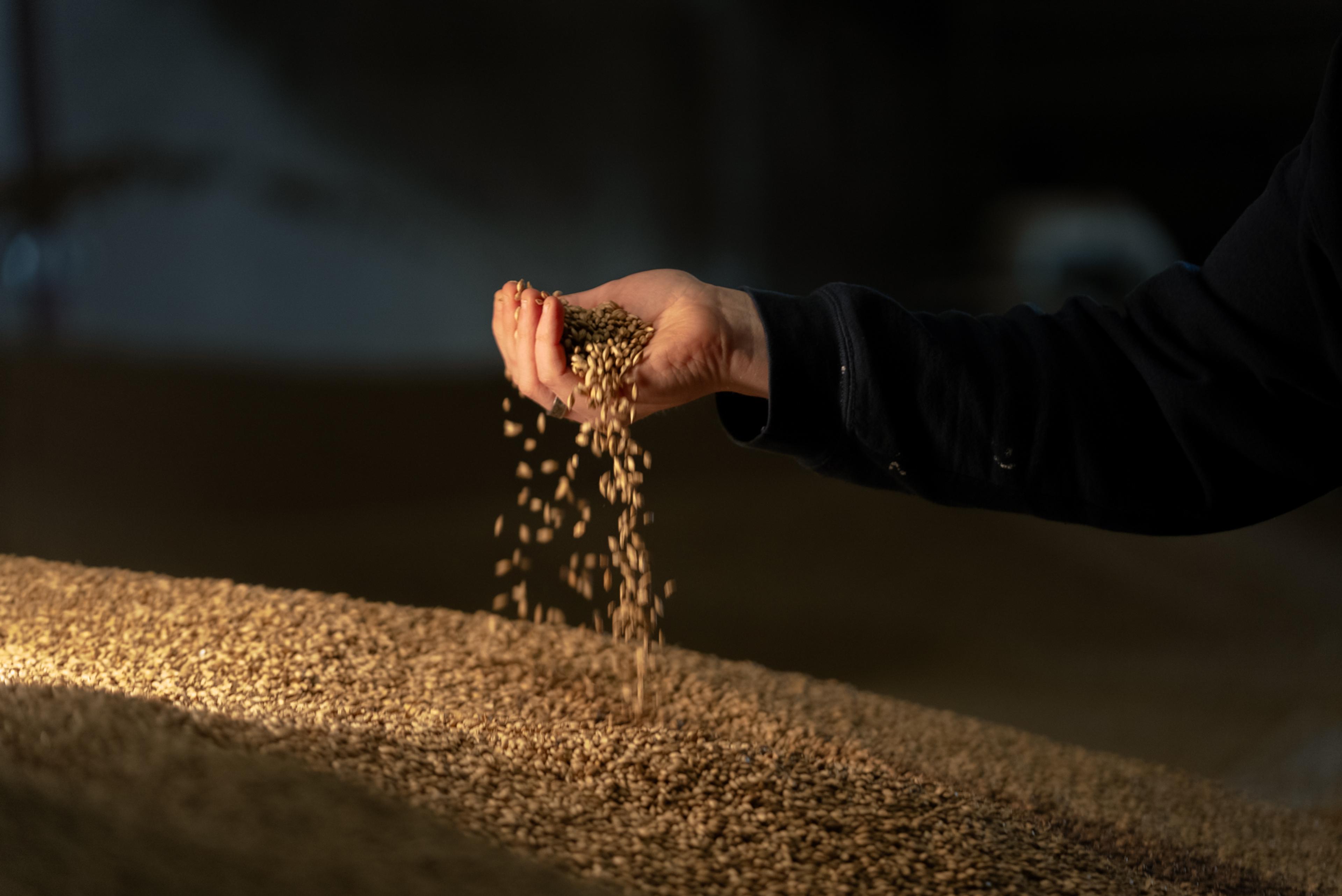 Claiming grain to glass is one thing. Proving it is another.