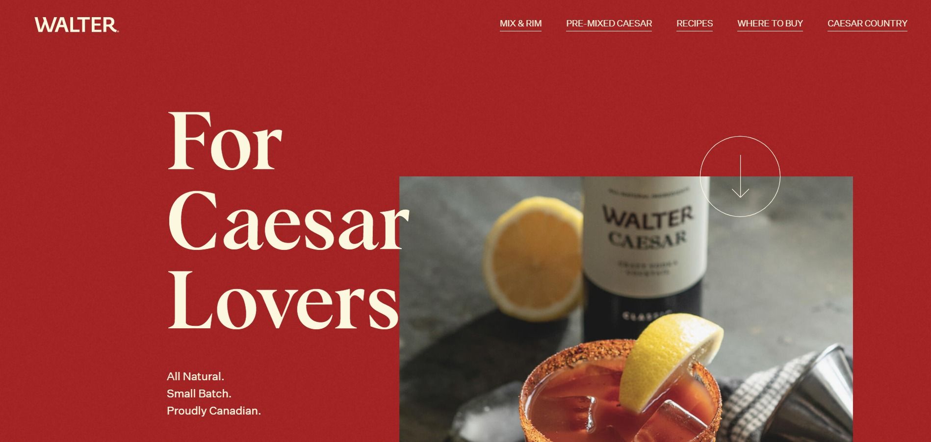 Walter Caesar image 1 of 4