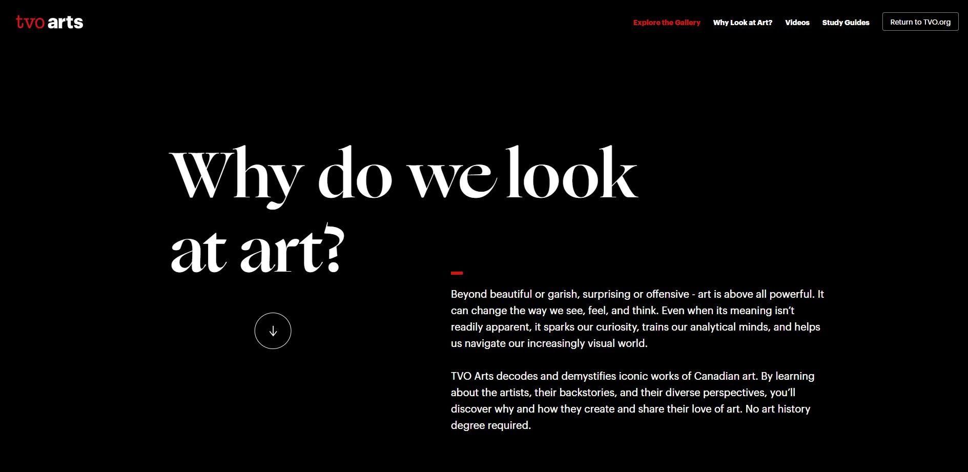 TVO Arts image 1 of 4