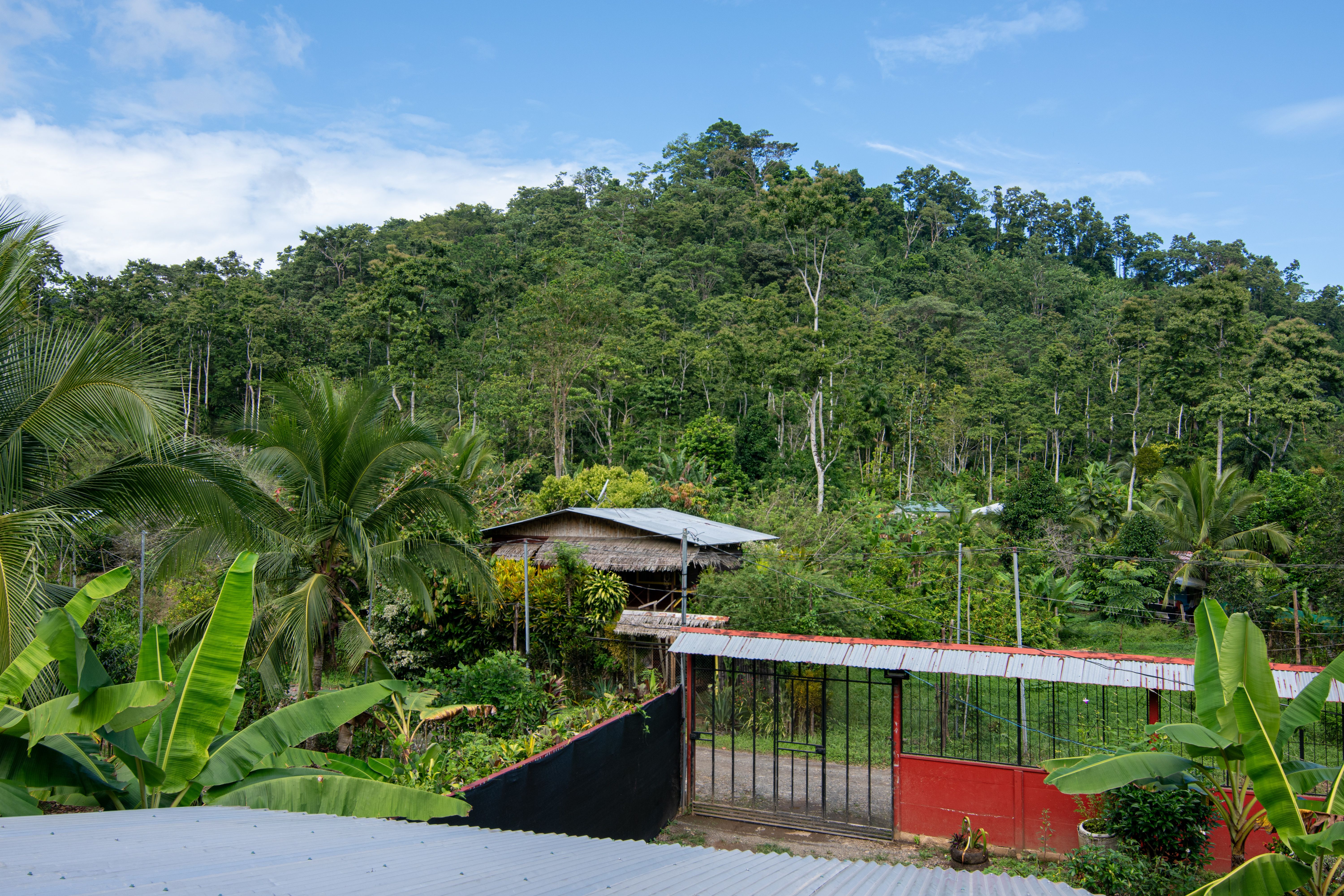 Apartamentos de Estreno en Hone Creek