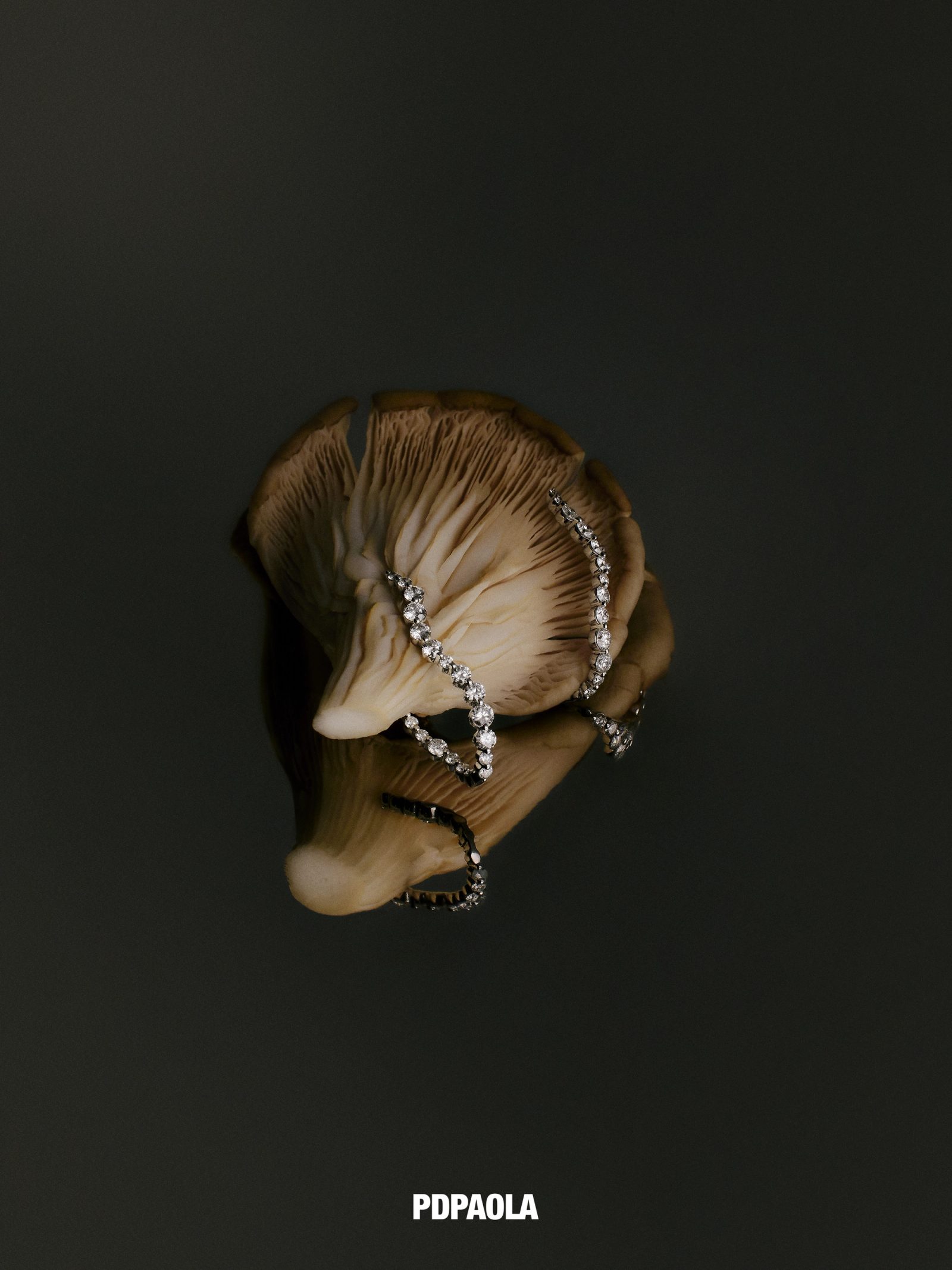 PDPAOLA FW26 - Jewellery Campaign