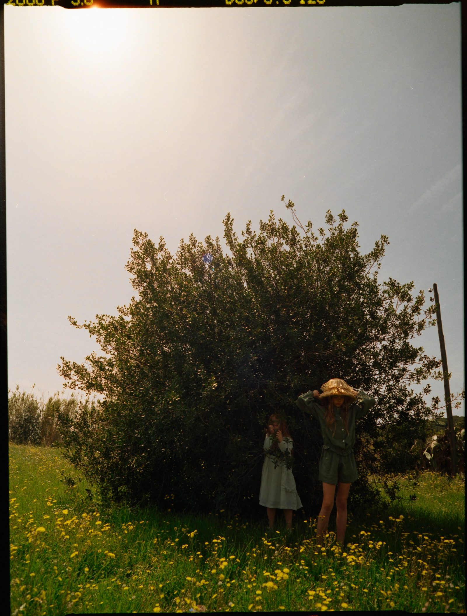 MAGIE DES ENFANTS