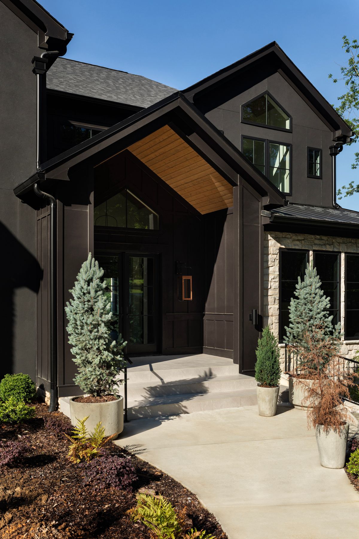 Dark exterior entry with a wood-lined canopy and landscaping