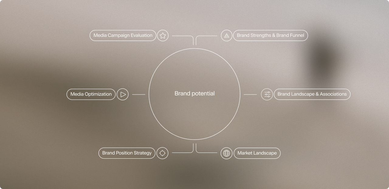 Brand Compass - Platform Overview