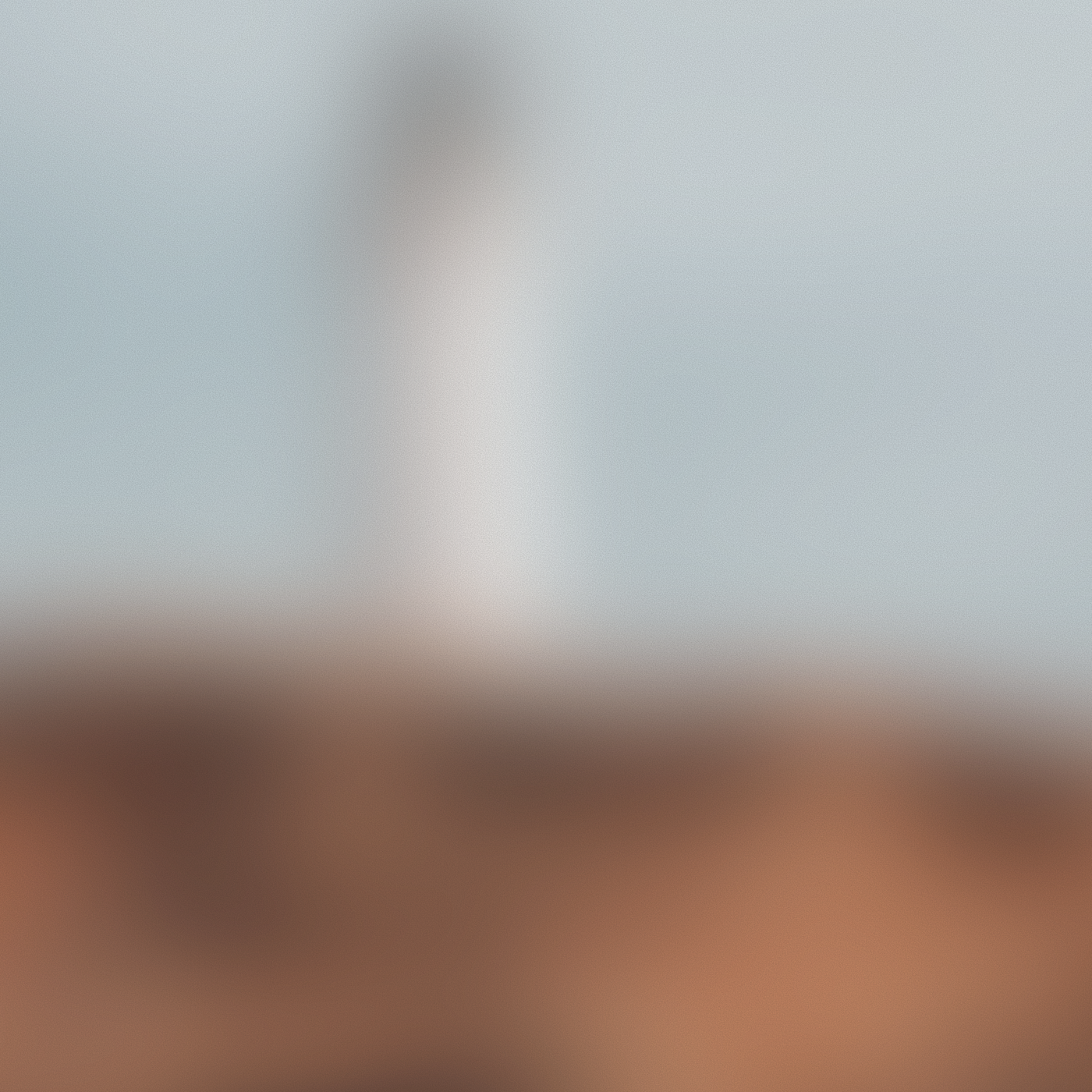 Brand Signal - Landscape