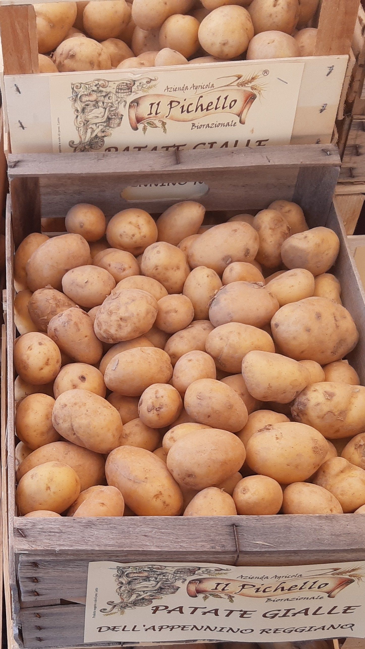 Patate Gialle