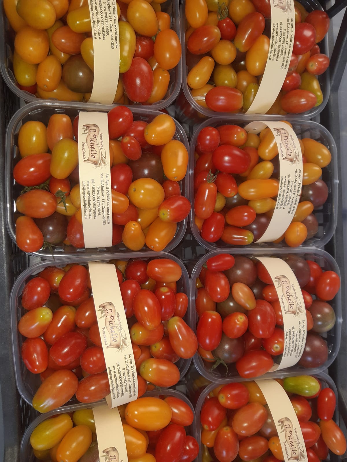 Pomodoro Datterini Rossi, Gialli, 
ciliegini Neri biorazionale dell'Azienda Agricola Il Pichello - Prodotti Freschi
e Stagionali dall'Appennino Reggiano