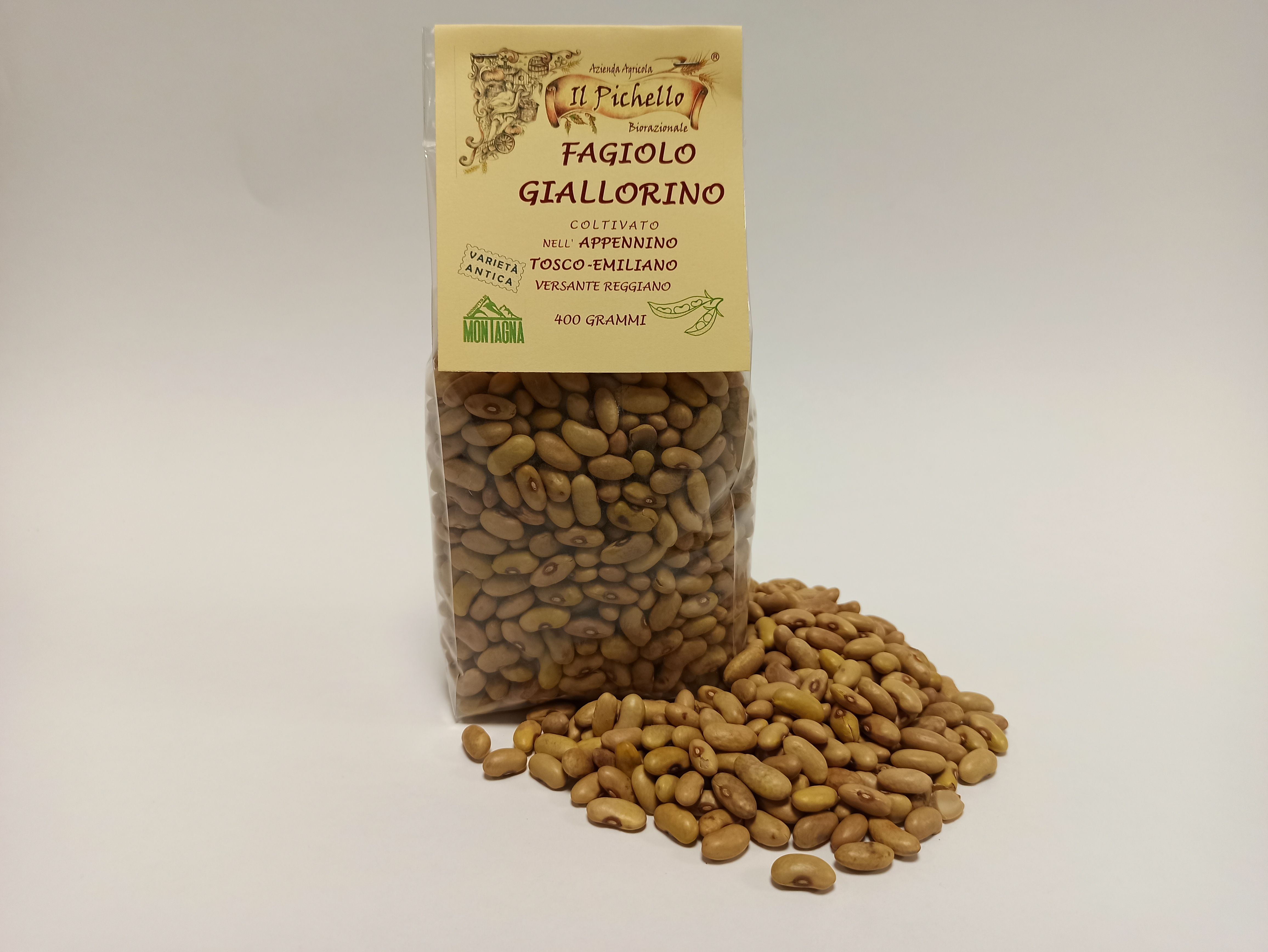 Fagiolo Giallorino