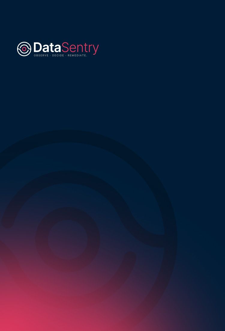 DataSentry logo