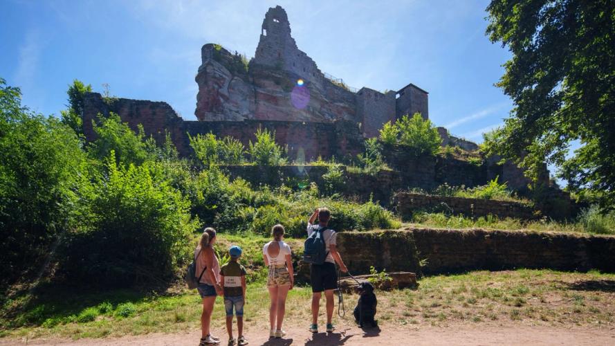 Alsace secrète : les plus beaux lieux historiques accessibles en train