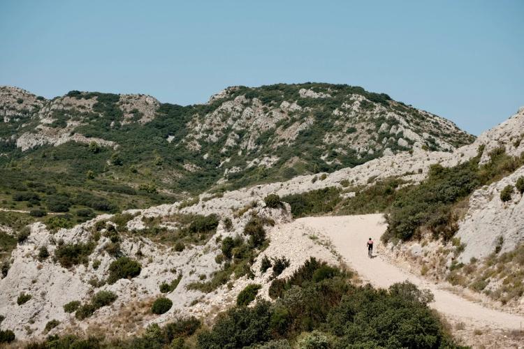 Cycling, hiking, kayaking... 5 micro-adventures for a nature weekend around Avignon