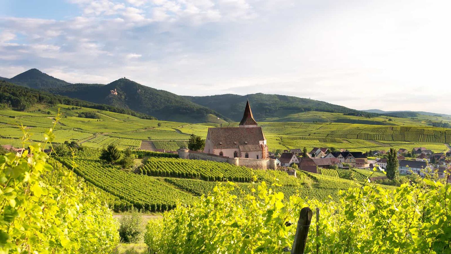Alsace by train: wines, villages and vineyards — photo 1