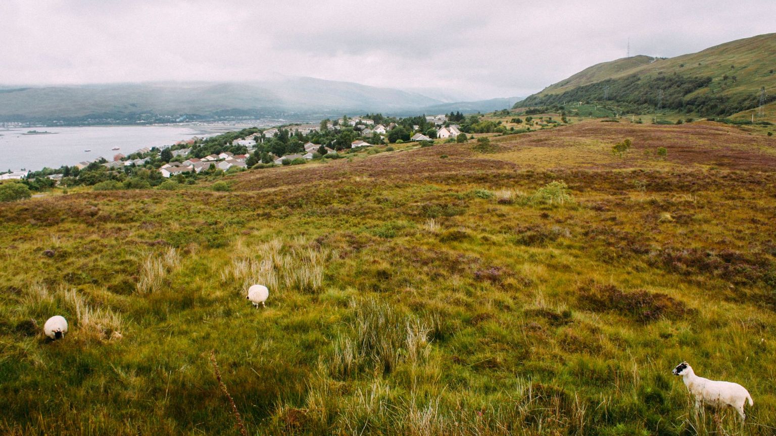 Boucle sans voiture Écosse au départ d'Edimbourg — photo 1