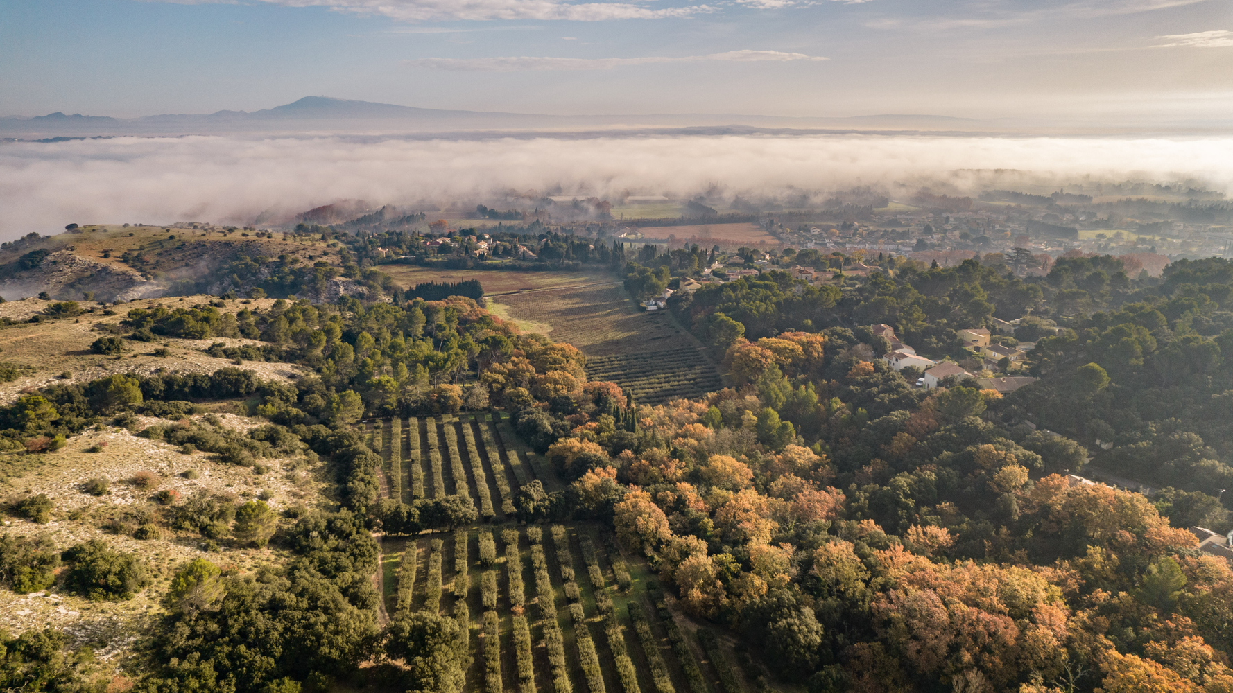 Paysages de Grand Avignon vu d'en haut