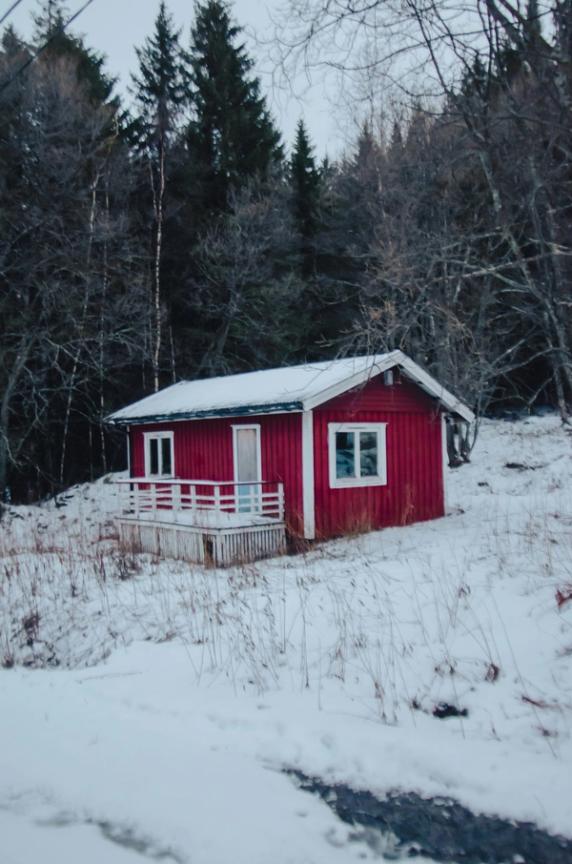 Paris-Cap Nord — photo 2