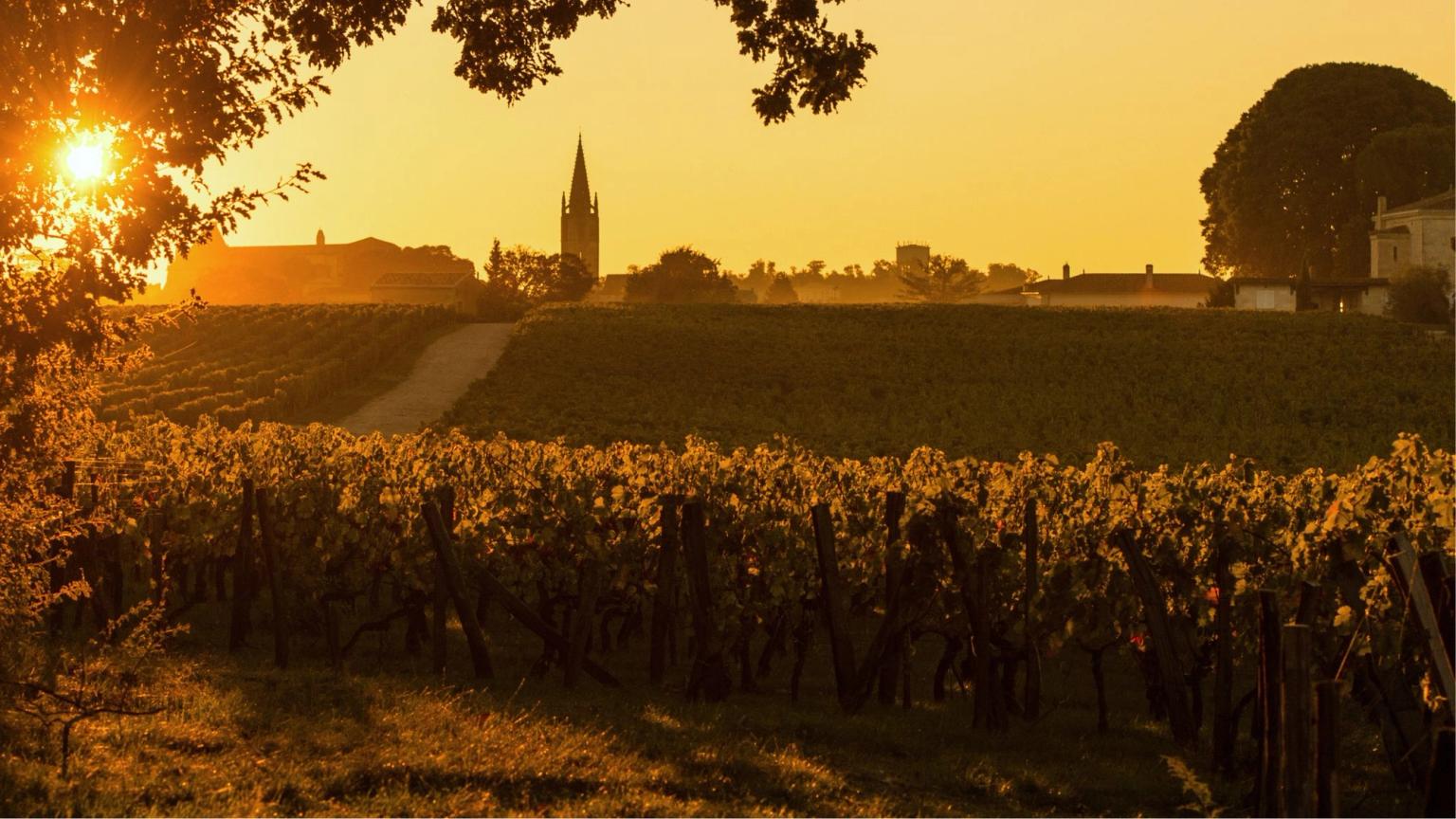 A 10-day loop to explore Nouvelle-Aquitaine by train — photo 1