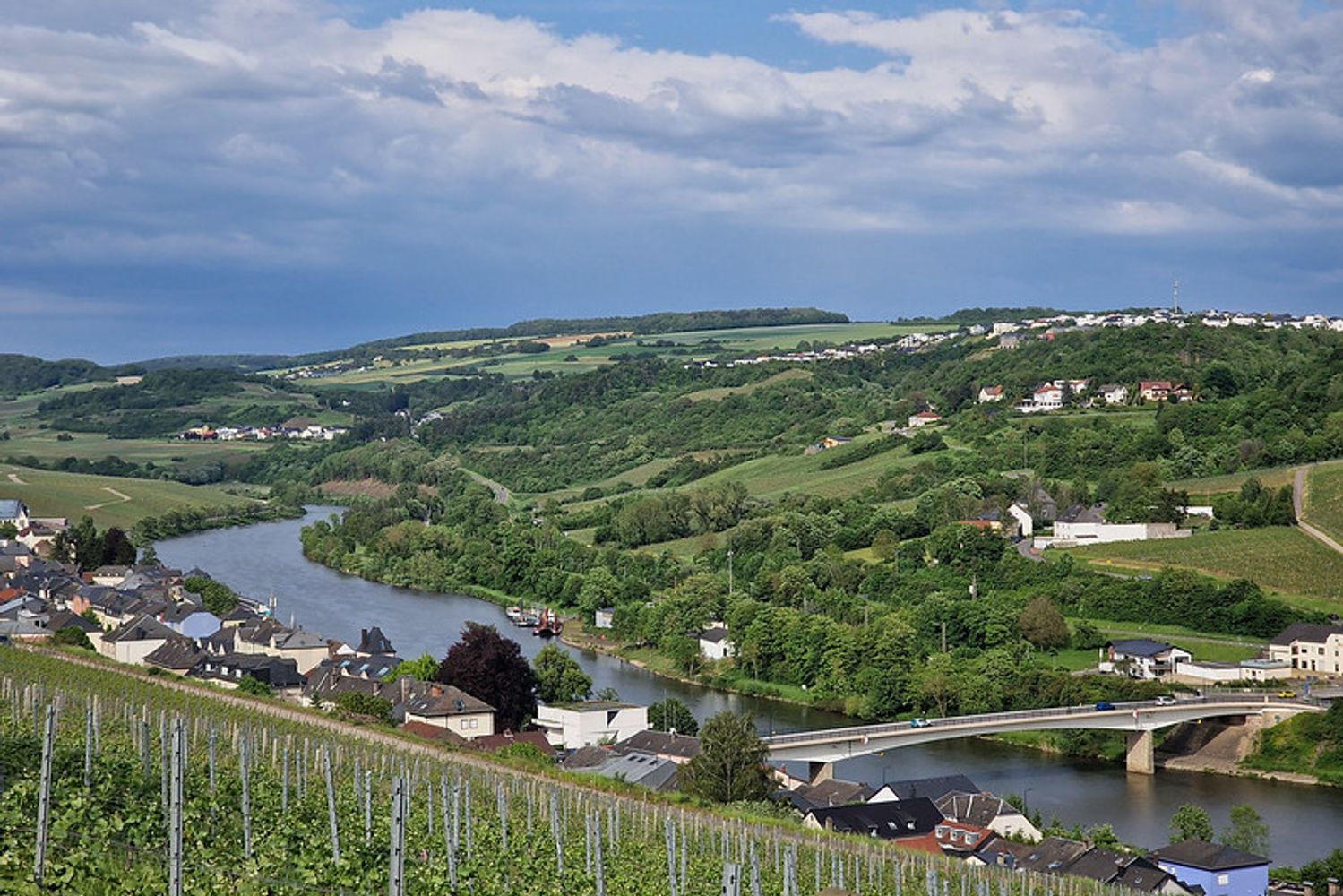 Le long de la Moselle