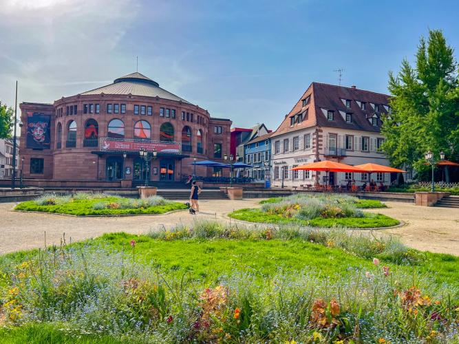 Que faire dans le Nord de l’Alsace le temps d’un week-end ?