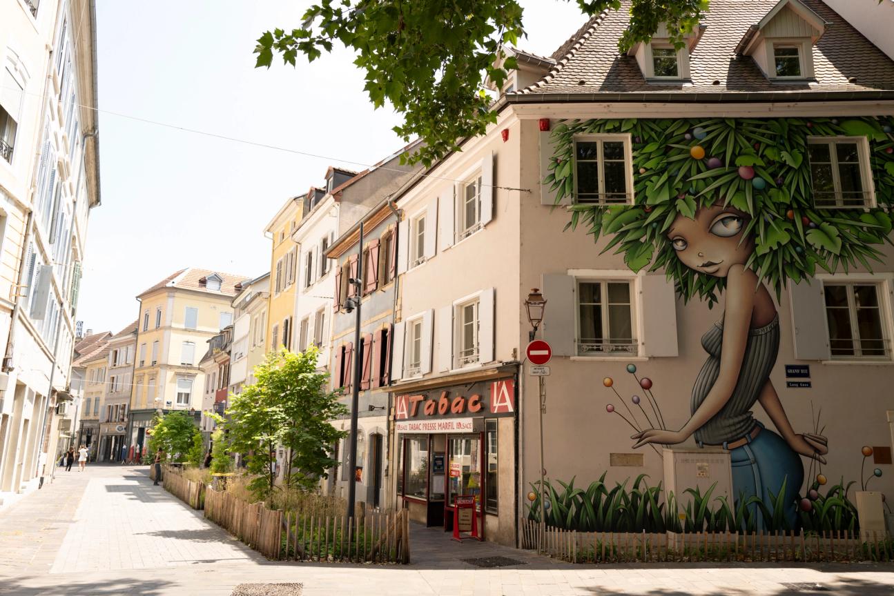 Découverte de l'Alsace du Sud : boucle depuis Paris — photo 1