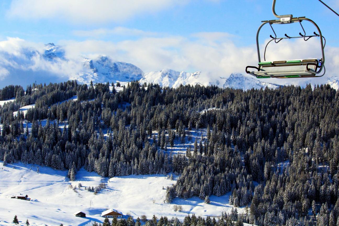 Alpe du Grand Serre — photo 2