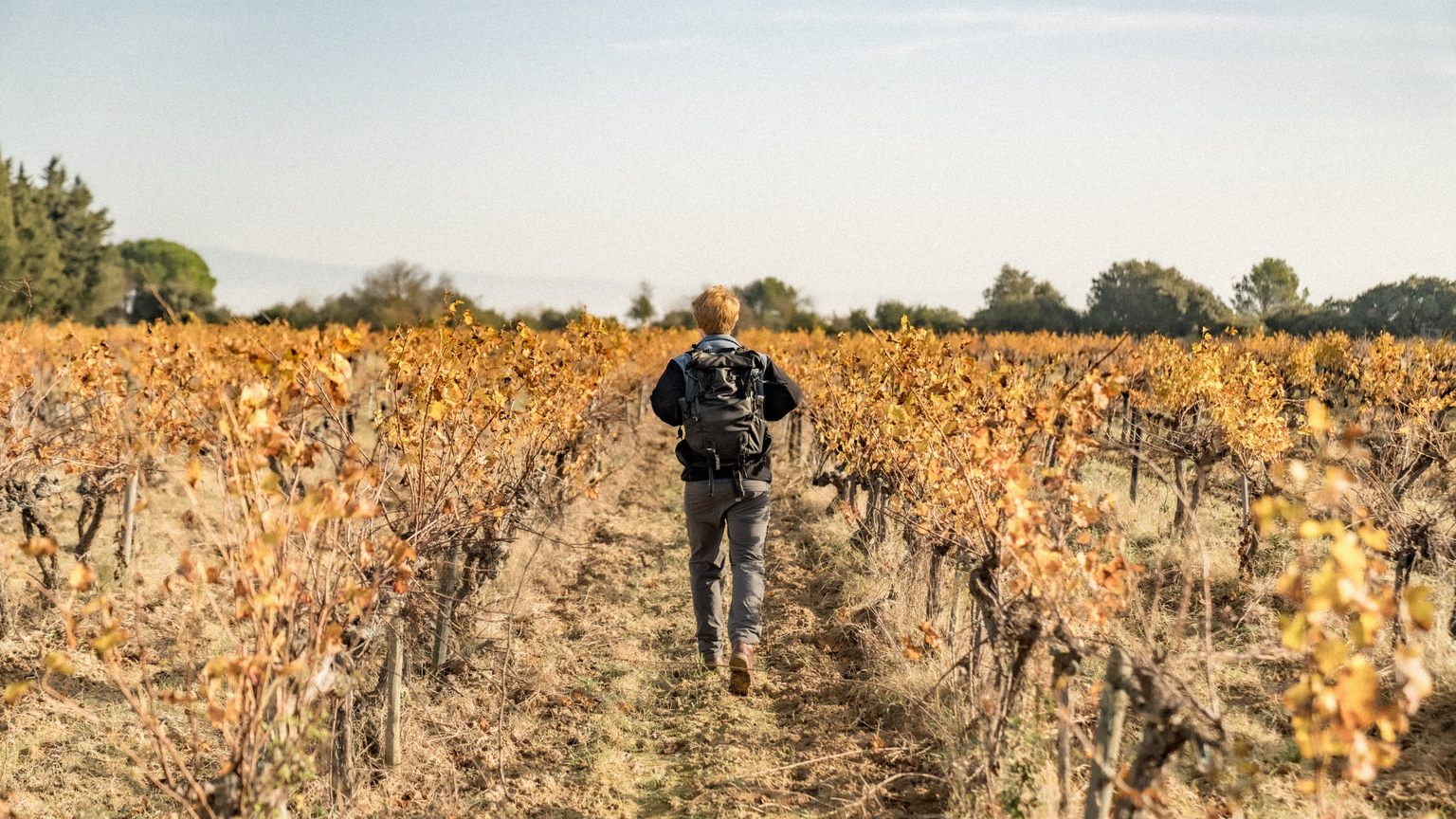 Boucle en train et randonnée dans le Grand Avignon — photo 1