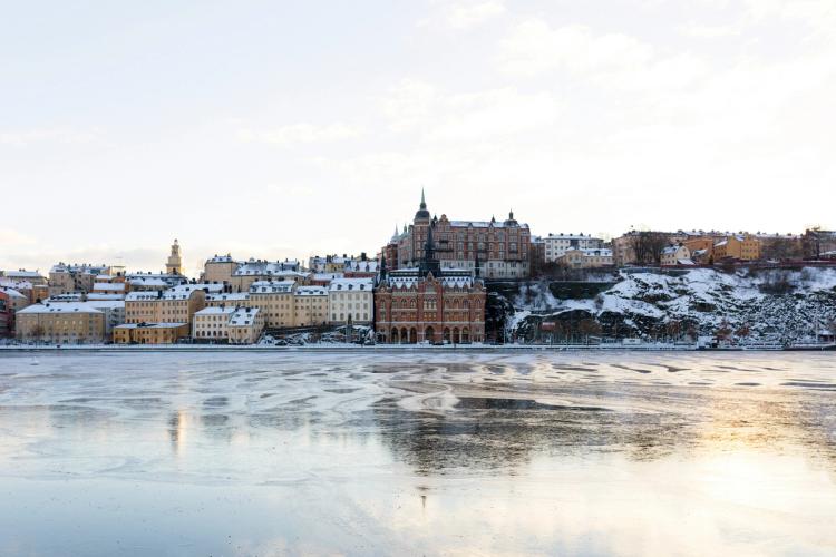 Les meilleurs restaurants végétariens à Stockholm