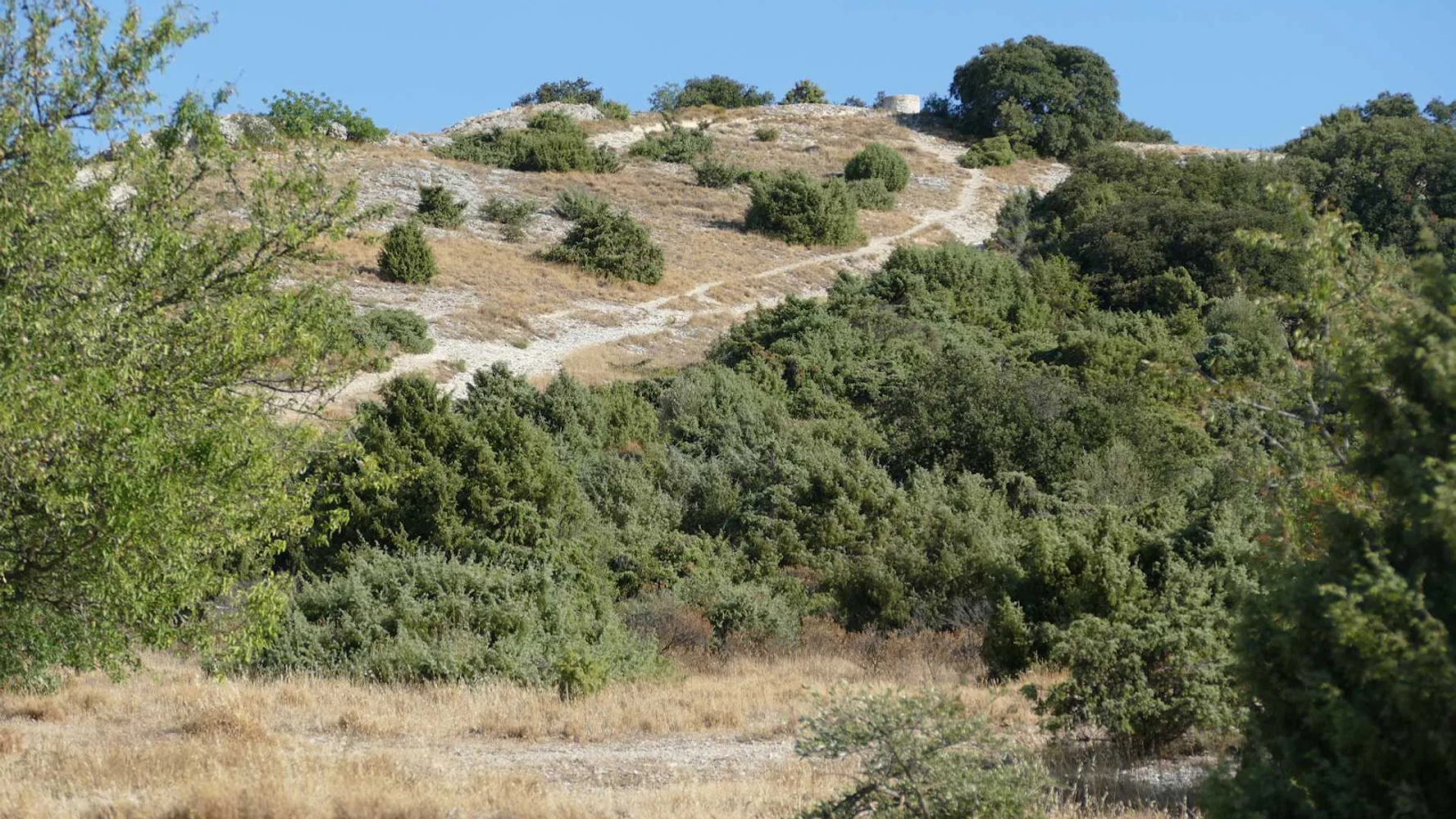 Sentier de la Garance sur la Colline de Piécaud