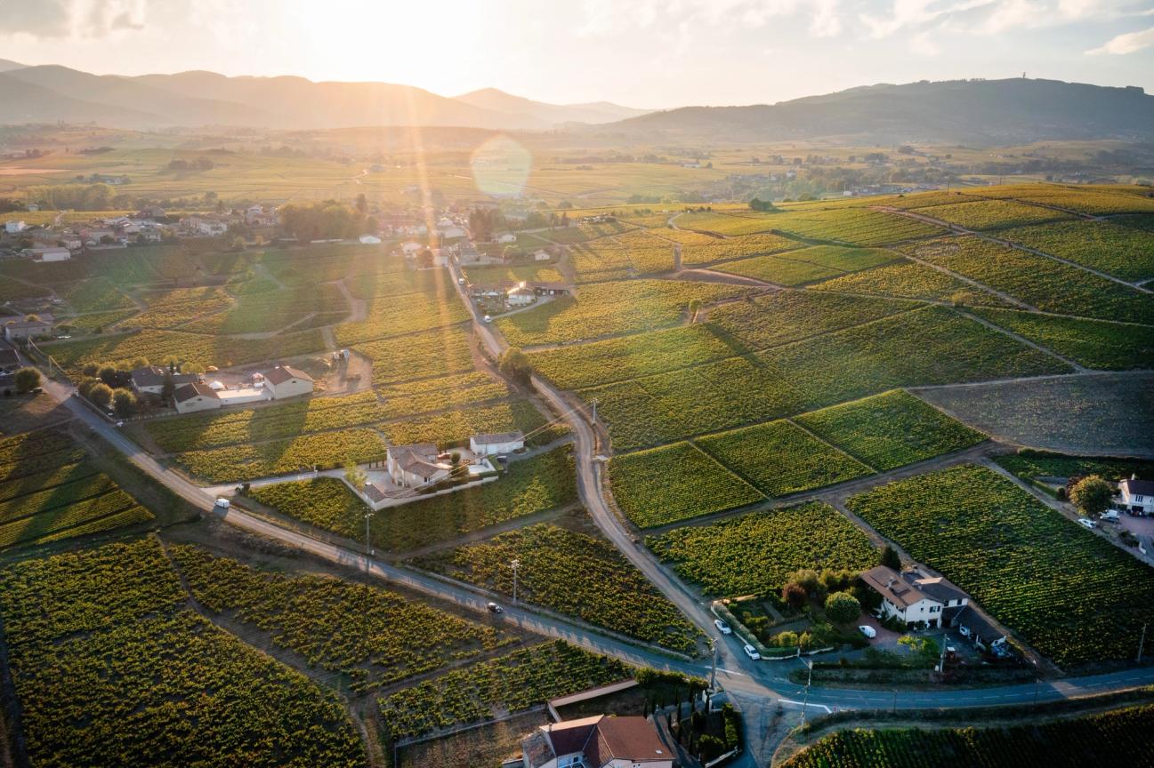 Sancerre — photo 1