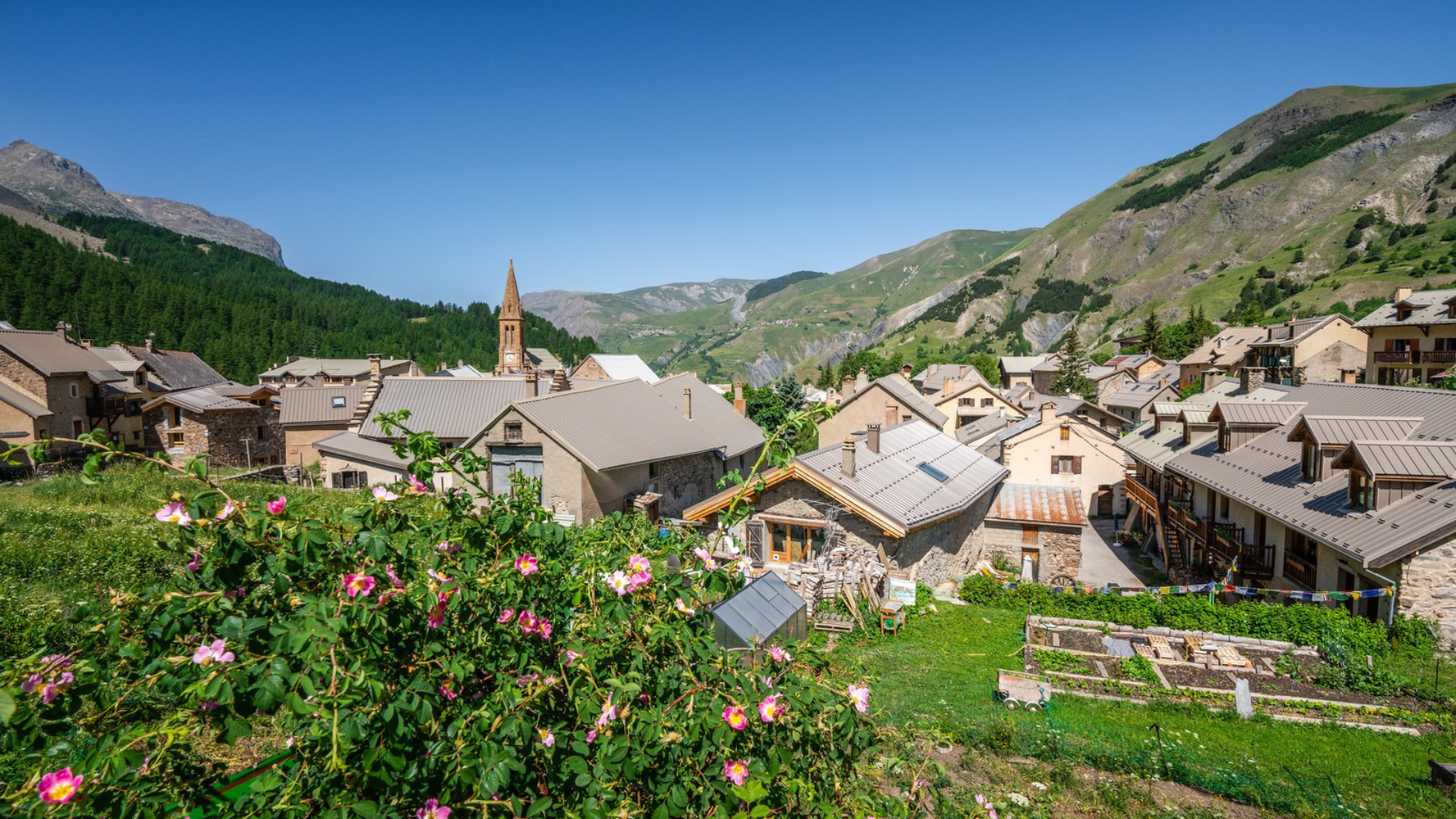 Le village en été, avec des fleurs en premier plan et la montagne en arrière-plan