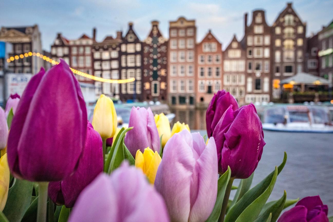 Amsterdam — photo 3