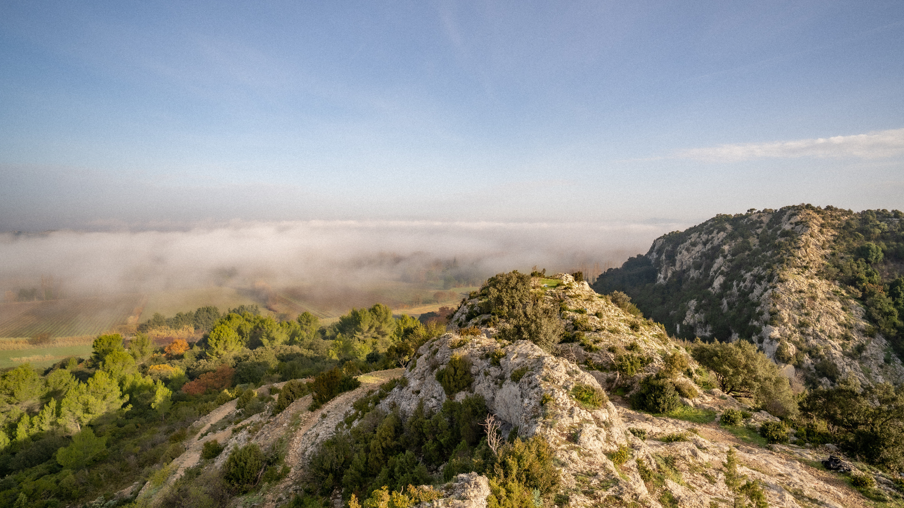 Paysage de montagne