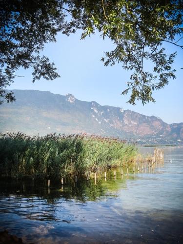 Le grand air à portée de train : Chambéry Montagnes et Aix les Bains Riviera des Alpes