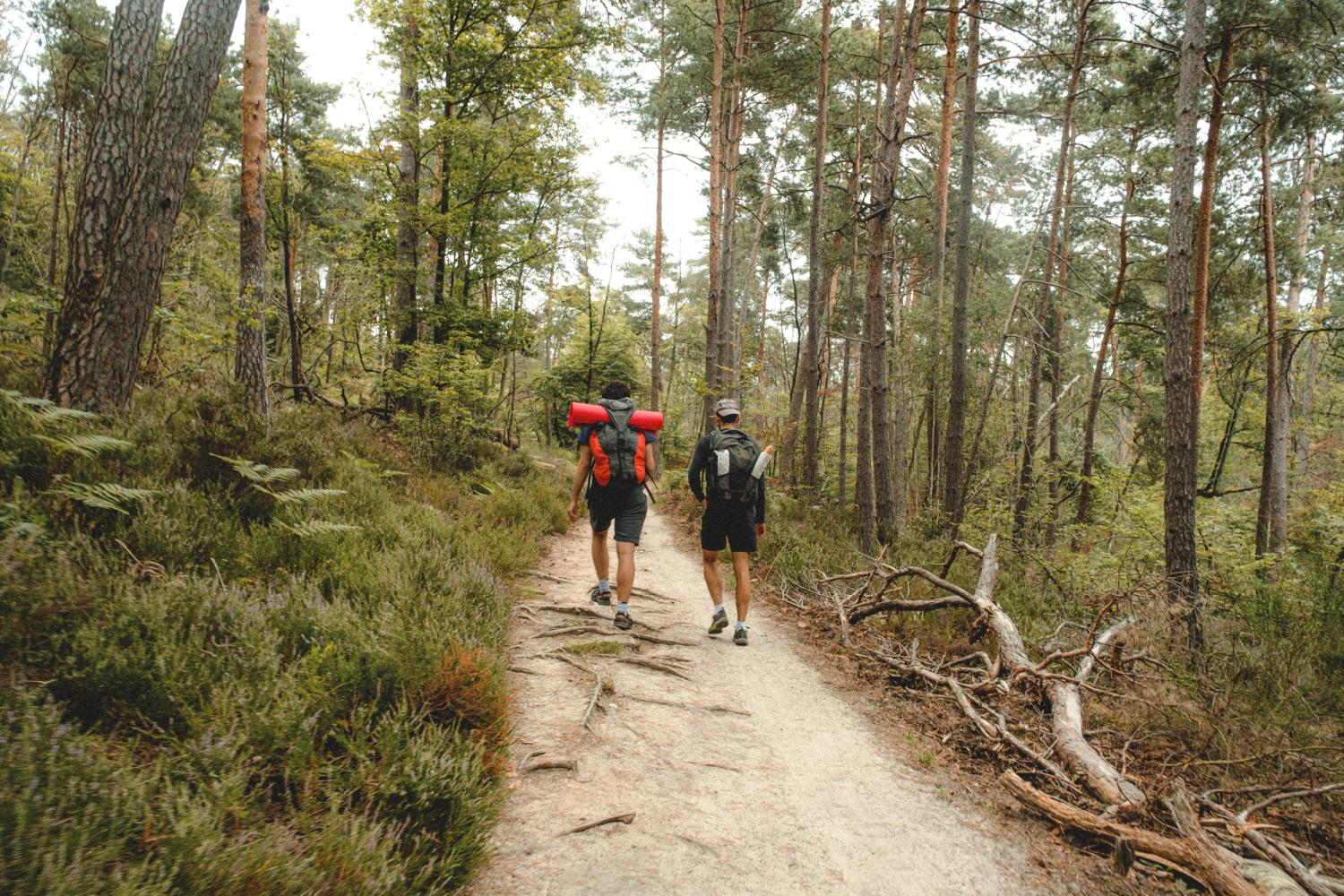 Image 5: Fontainebleau